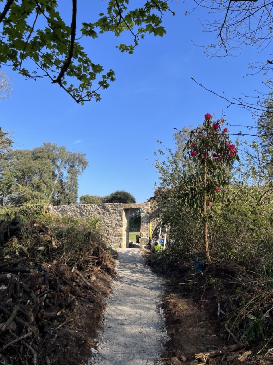 Scorrier Estate walled garden